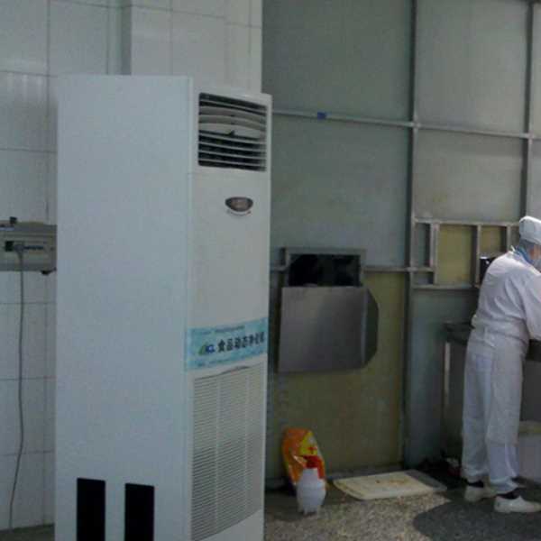 昌江食品正负离子空气杀菌器